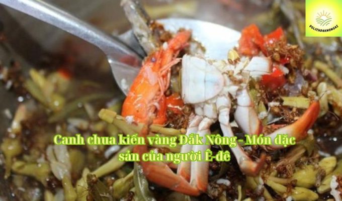 Canh chua kiến vàng Đắk Nông - Món đặc sản của người Ê-đê