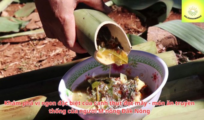 Khám phá vị ngon đặc biệt của canh thụt đọt mây - món ăn truyền thống của người M'nông Đắk Nông