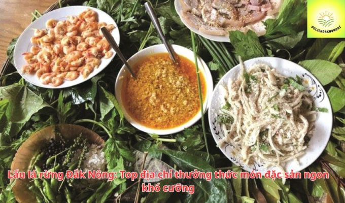 Lẩu lá rừng Đắk Nông: Top địa chỉ thưởng thức món đặc sản ngon khó cưỡng